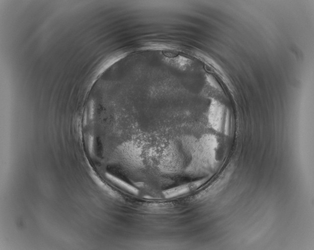 X0000112011433200908241445