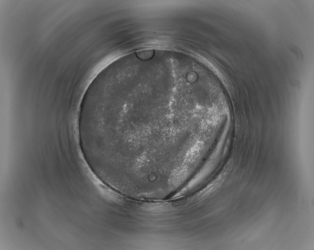 X0000112011434200908241445