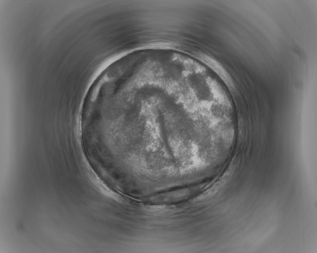 X0000112011436200908241445