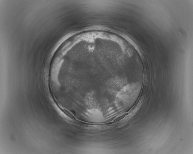 X0000112011438200908241445