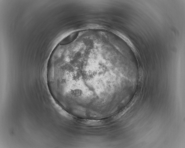 X0000112011439200908241445