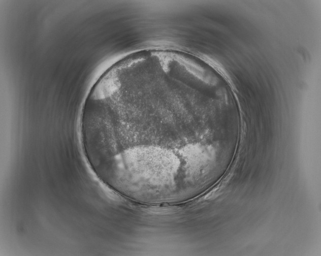 X0000112011440200908241445