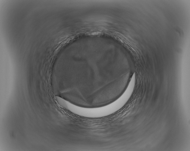 X0000112011441200908241444