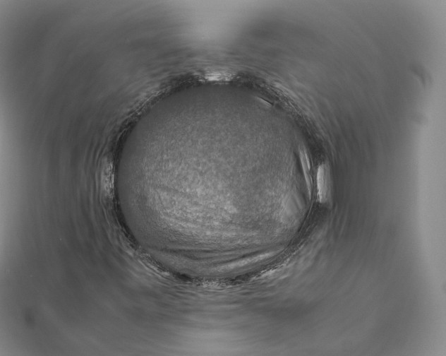 X0000112011443200908241444