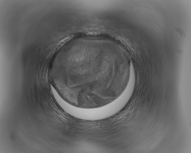 X0000112011444200908241444