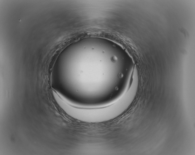 X0000112011445200908241444