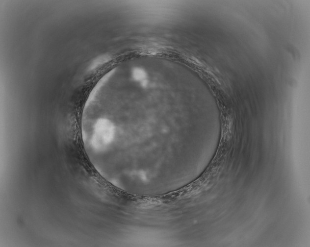 X0000112011446200908241444