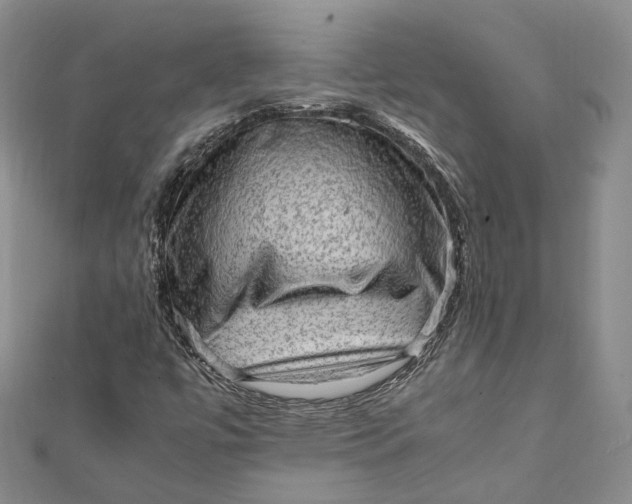 X0000112011447200908241444