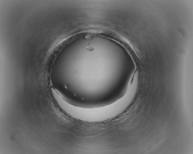 X0000112011448200908241444