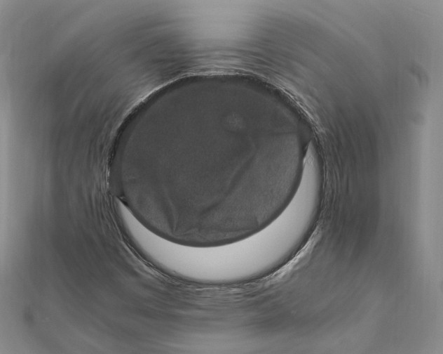 X0000112011449200908241444