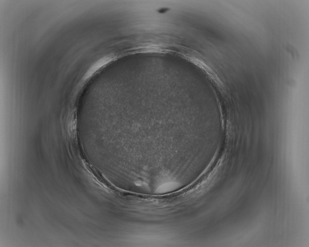 X0000112011450200908241444