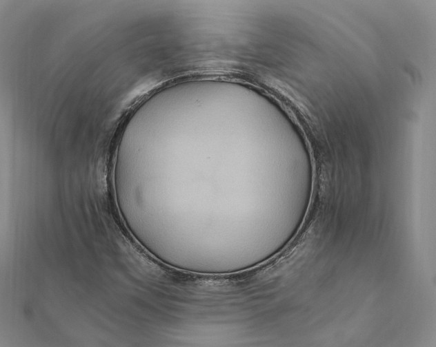 X0000112011451200908241444