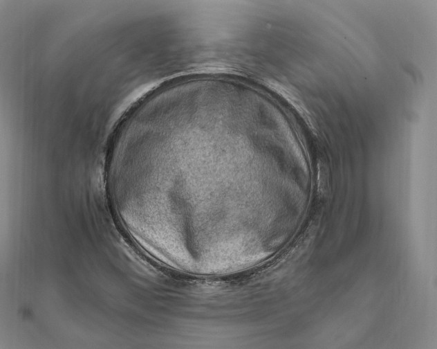 X0000112011452200908241444