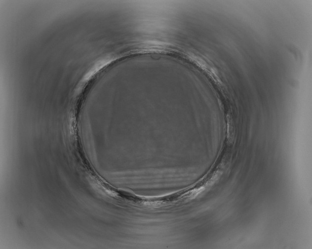 X0000112011453200908241444