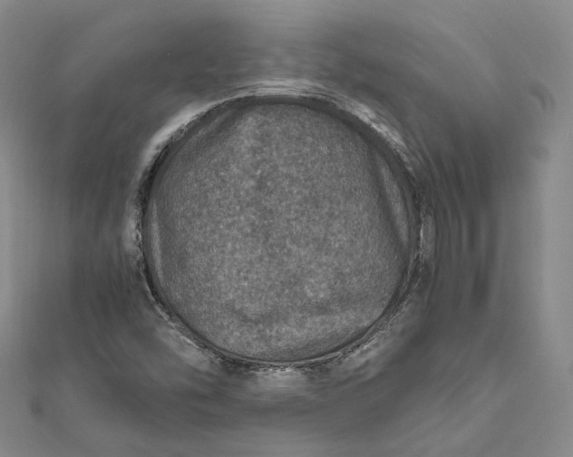 X0000112011454200908241444