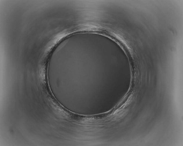 X0000112011455200908241444