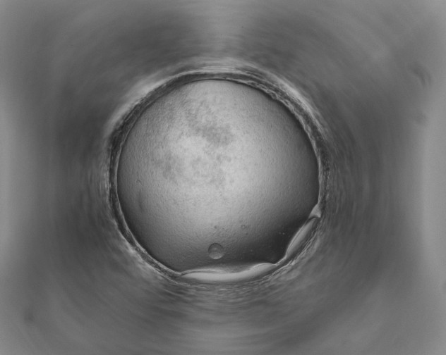 X0000112011456200908241444