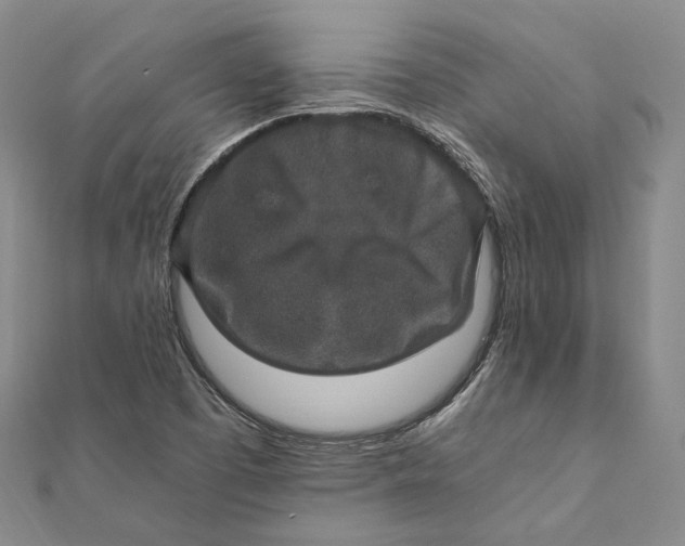 X0000112011457200908241444