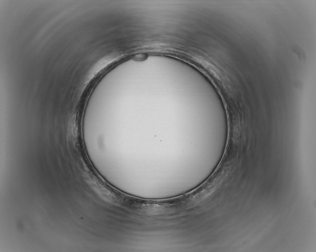 X0000112011458200908241444