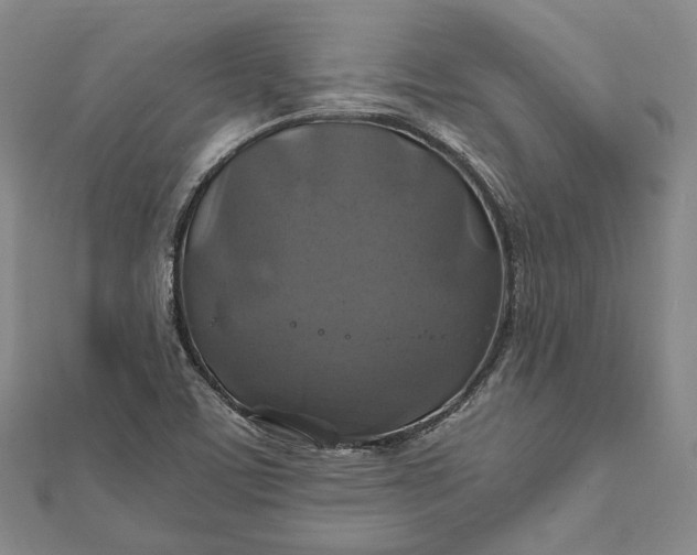 X0000112011459200908241444