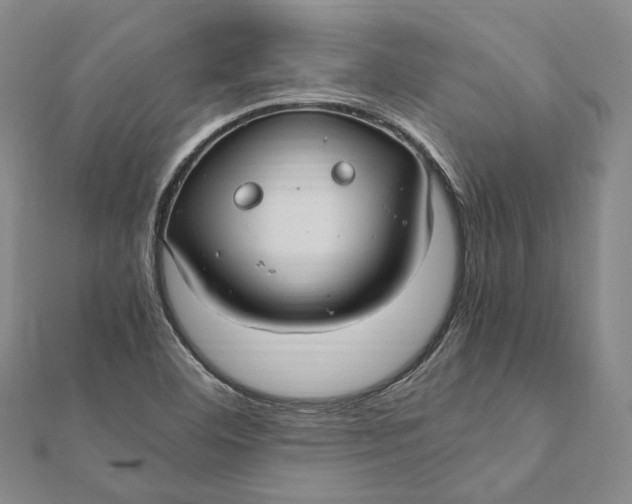 X0000112011460200908241444