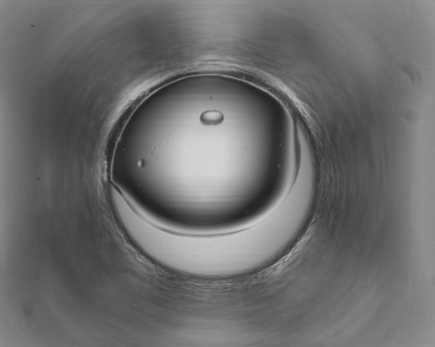 X0000112011461200908241444