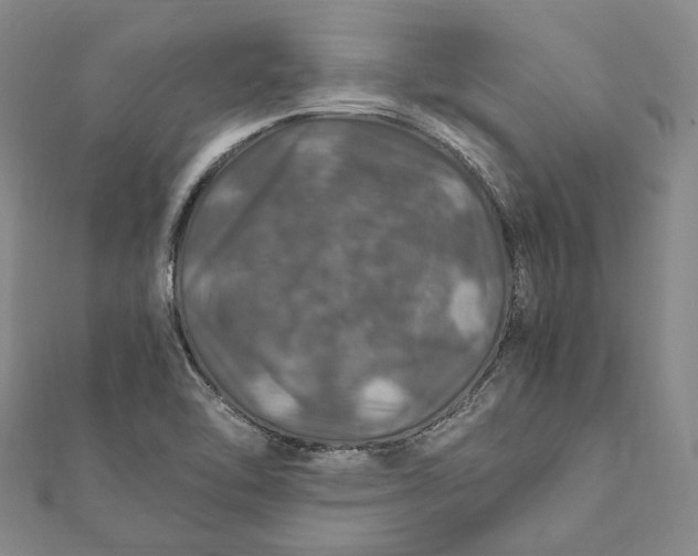 X0000112011462200908241444