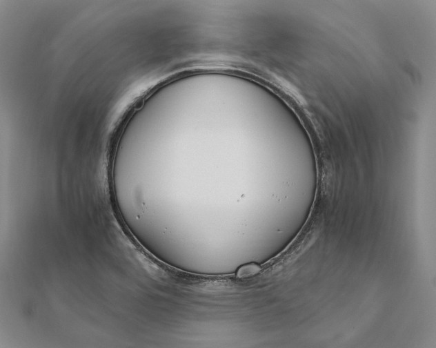 X0000112011464200908241444