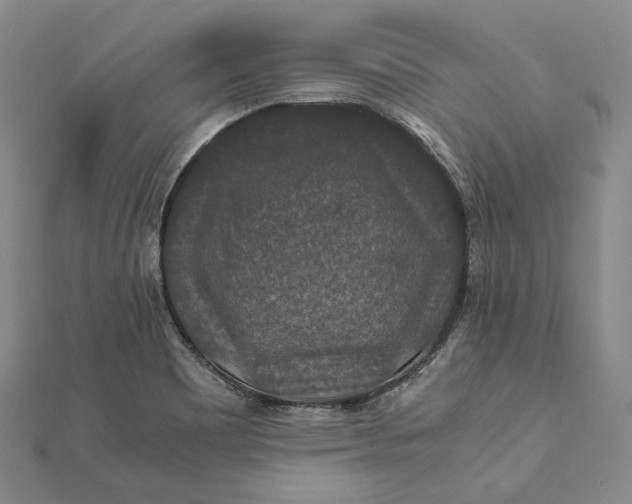 X0000112011465200908241444