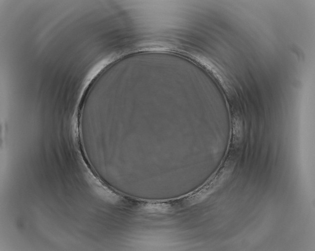 X0000112011466200908241444