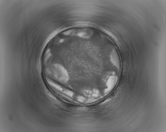 X0000112011467200908241444