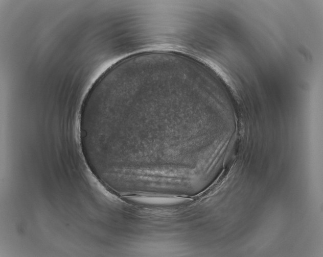 X0000112011468200908241444