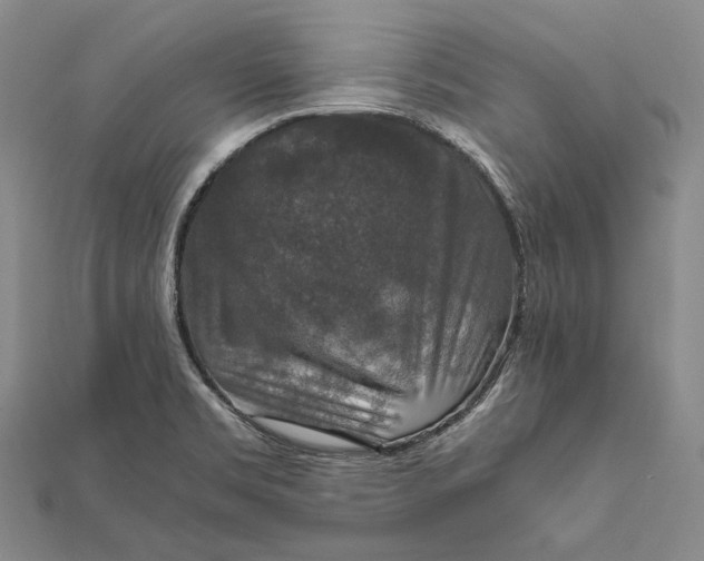 X0000112011469200908241444