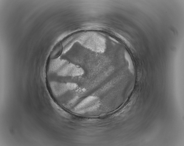 X0000112011471200908241444