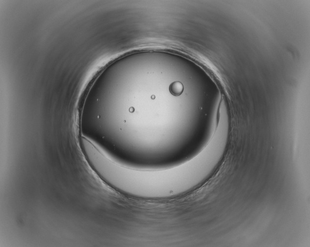 X0000112011472200908241444