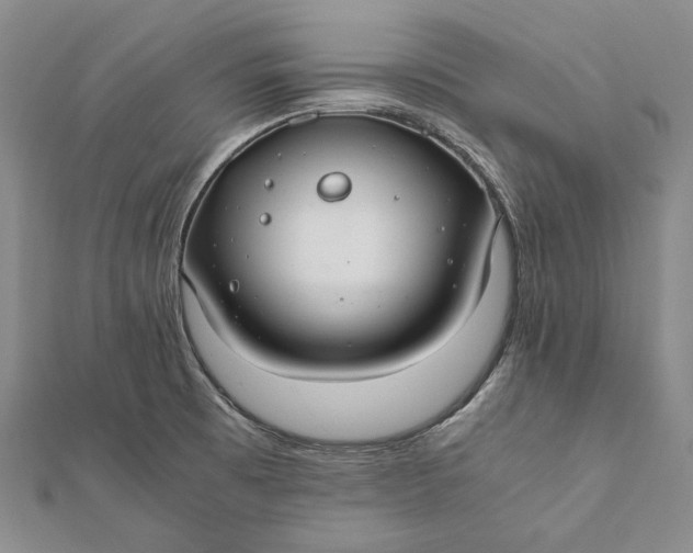 X0000112011473200908241444