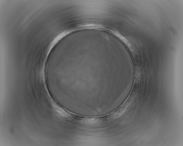 X0000112011474200908241444