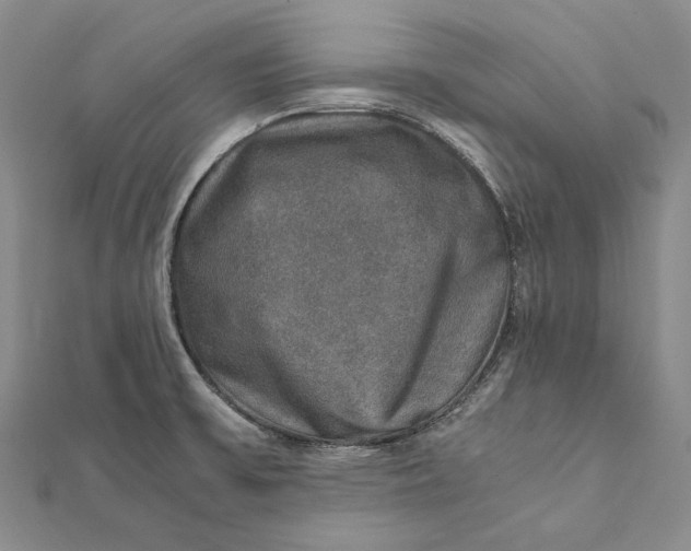 X0000112011475200908241444