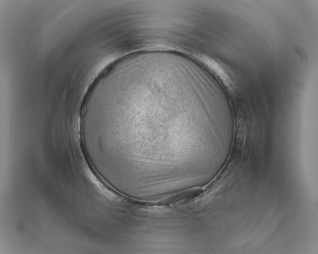 X0000112011476200908241444