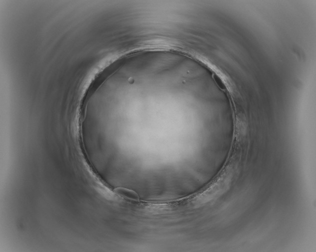 X0000112011477200908241444