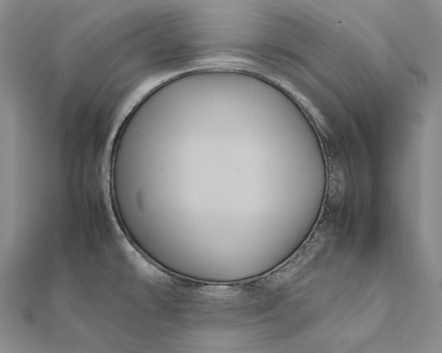 X0000112011478200908241444