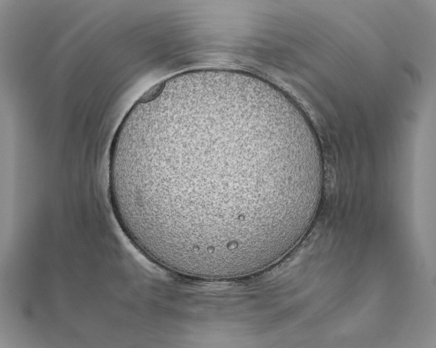 X0000112011479200908241444