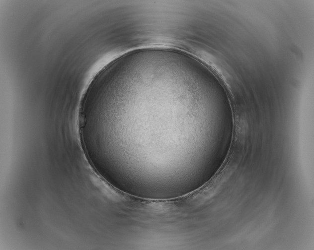 X0000112011480200908241444