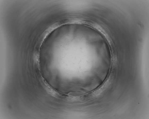 X0000112011481200908241444