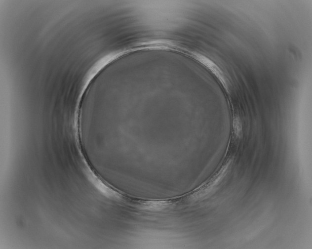 X0000112011482200908241444