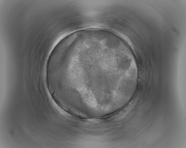 X0000112011483200908241444