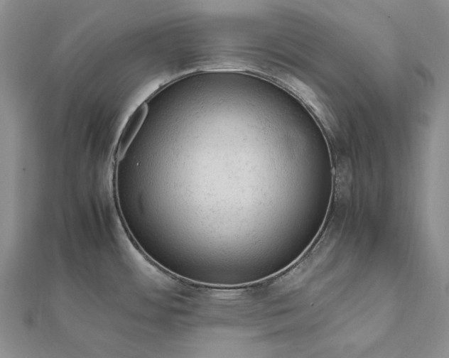 X0000112011484200908241444