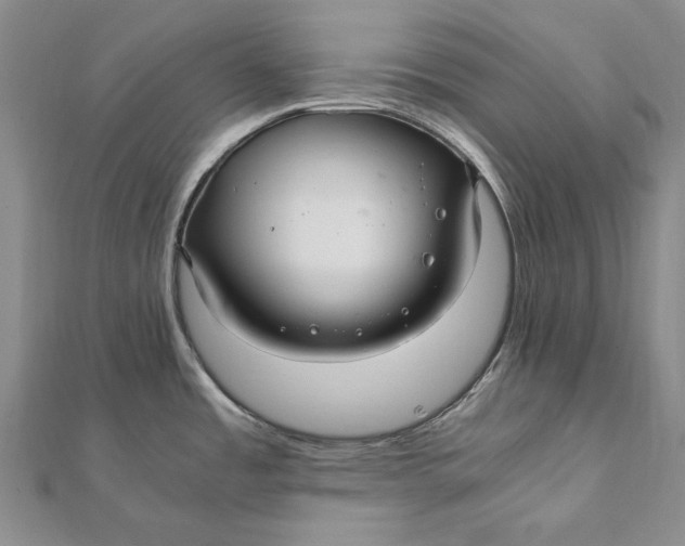 X0000112011485200908241444