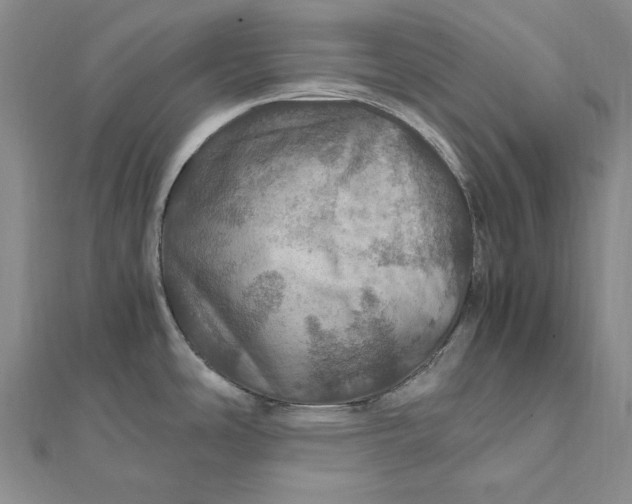 X0000112011486200908241444