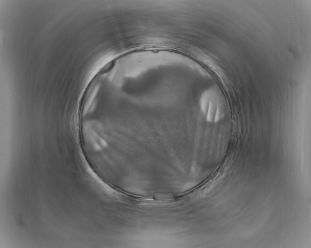 X0000112011487200908241444